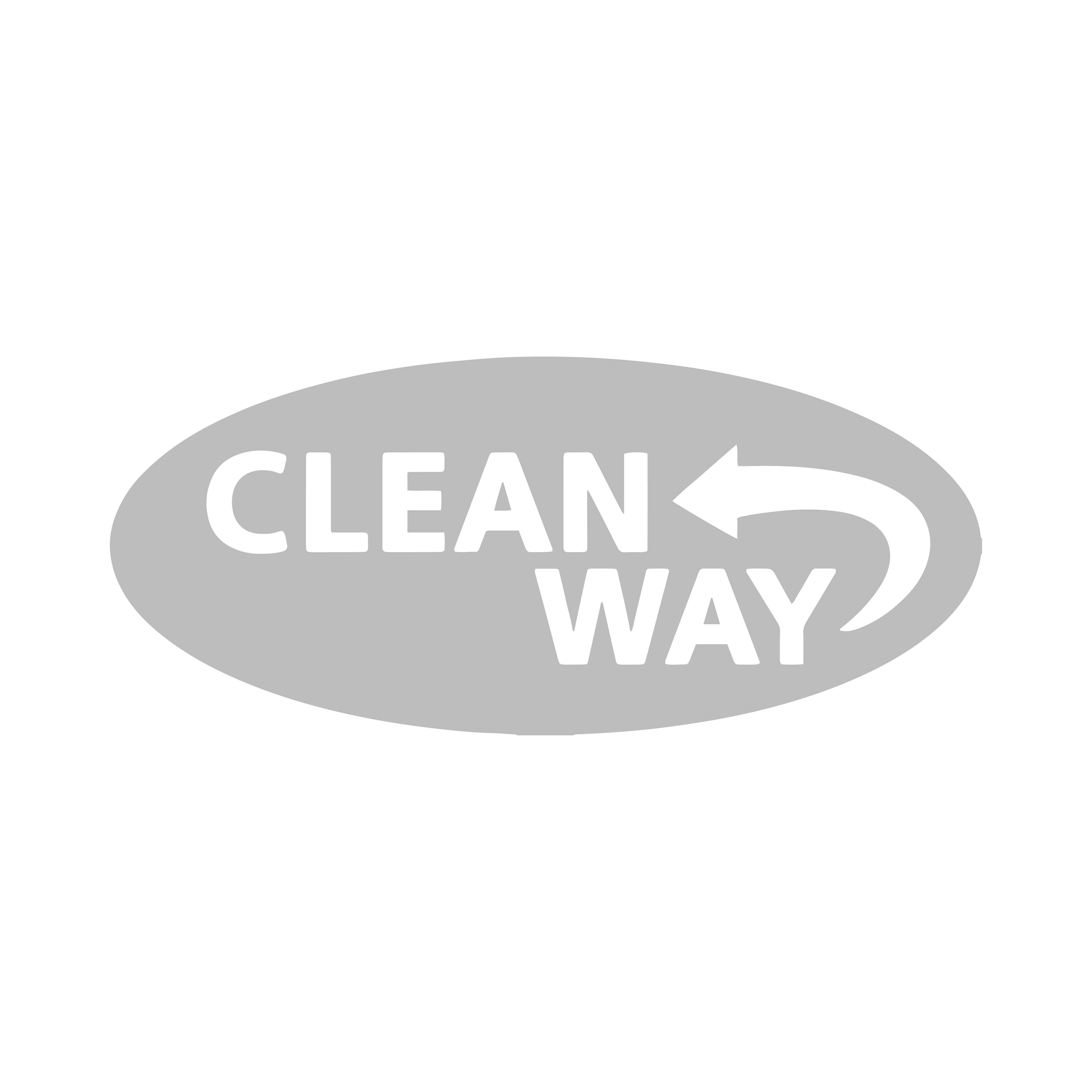 cleanway-logo grey